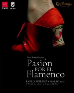 Pasión por el Flamenco