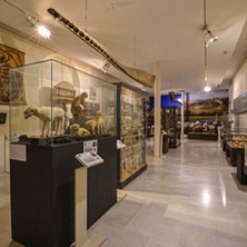 Museo Aguilar y Eslava Museo Aguilar y Eslava 2