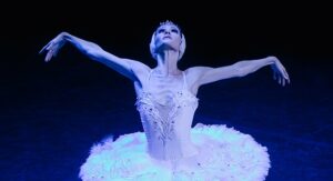 El Lago de los Cisnes / Swan Lake