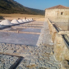 Tesoros de Sal en Guadalajara 1