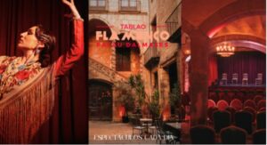 Espectáculo Flamenco en el Palau Dalmases