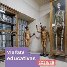 Museo Anatomia J.Puerta Visita educativa