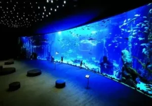 Acuario Poema del Mar Gran Canaria