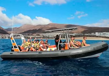 Avistamiento de Delfines en Fuerteventura