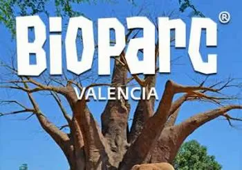 Bioparc en Valencia