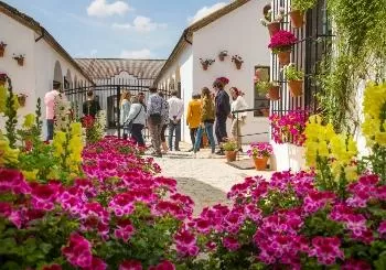 Bodega Alvear en Montilla Cordoba