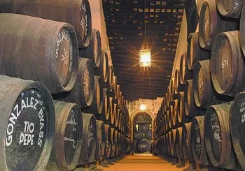 Bodegas Gonzalez Byass en Jerez de la Frontera