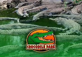 Crocodile Park en Málaga Crocodile Park en Malaga