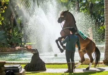 El Ranchito - Espectáculo Ecuestre en Málaga El Ranchito Espectaculo Ecuestre en Malaga