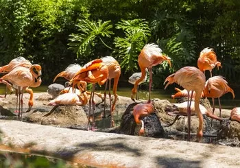 Entradas para Zoo de Barcelona: sin colas