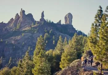 Excursiones en Gran Canaria