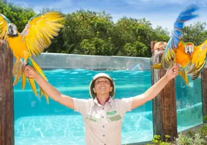 Jungle Park en Tenerife