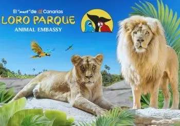 Loro Parque en Tenerife
