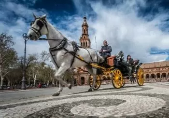 Paseo turístico en coche de caballos por Sevilla Paseo turistico en coche de caballos por Sevilla 1