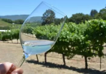 Ruta del Vino Utiel Requena desde Valencia