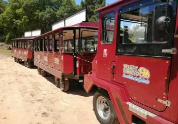 Trenet Turistic Sant Feliu de Guixols en Girona