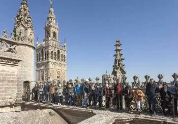 Visita Catedral de Sevilla e Iglesia del Salvador en Sevilla Visita Catedral de Sevilla e Iglesia del Salvador en Sevilla