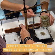Visitas taller Museo Farmacia Hispana