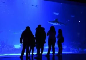 Atlantis Aquarium en Madrid