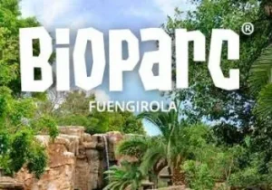 8 Zoológicos Imprescindibles para Visitar en España Bioparc en Fuengirola