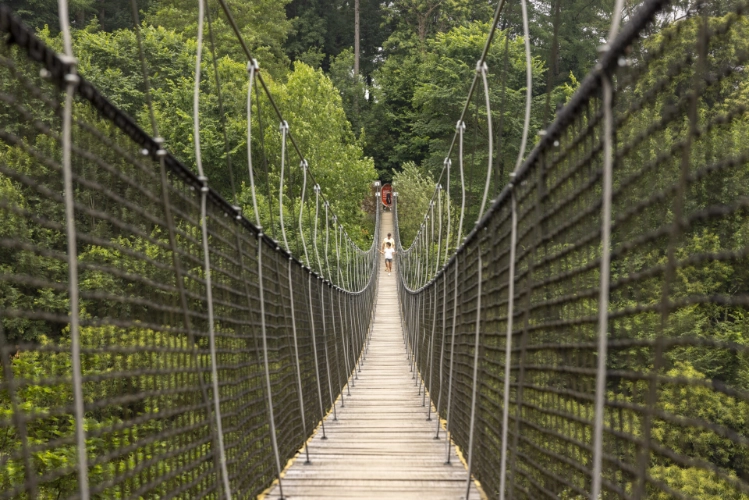 Puente tibetano en Irrisarriland