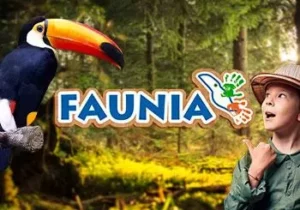 Grupos - Faunia en Madrid