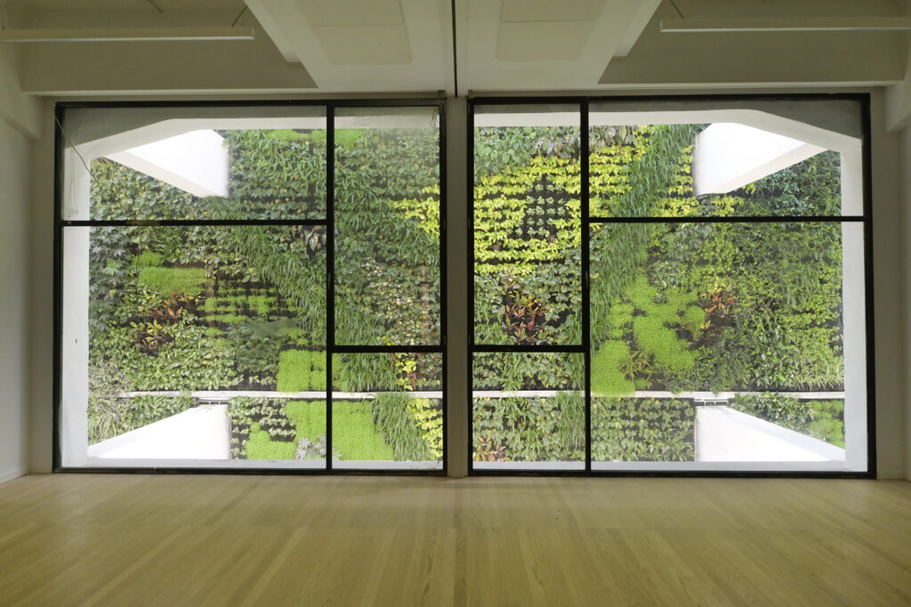 JARDIN VERTICAL 6