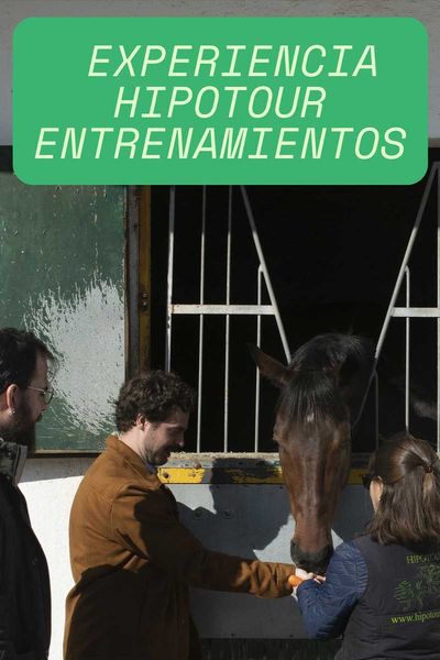 Experiencia Hipotour Entrenamientos