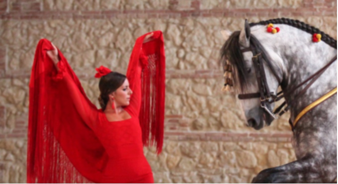 Pasion y Duende Andaluz