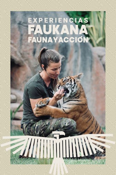 Visitas Faukana Jornadas Salvajes